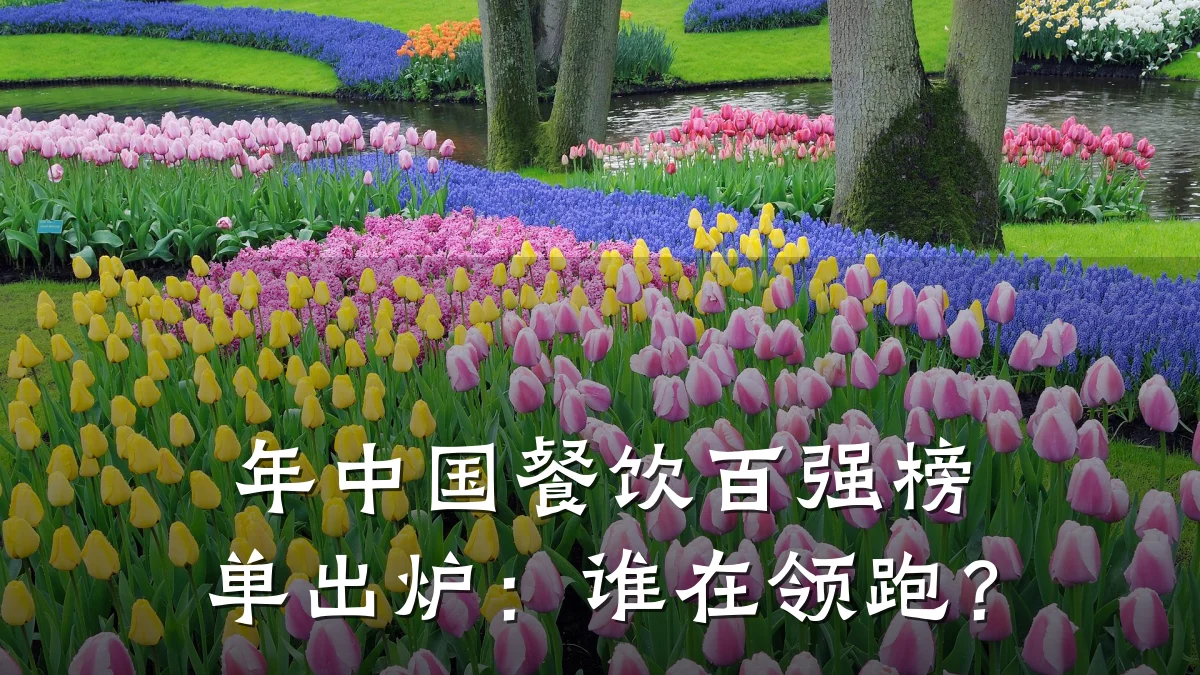 年中国餐饮百强榜单出炉：谁在领跑？
