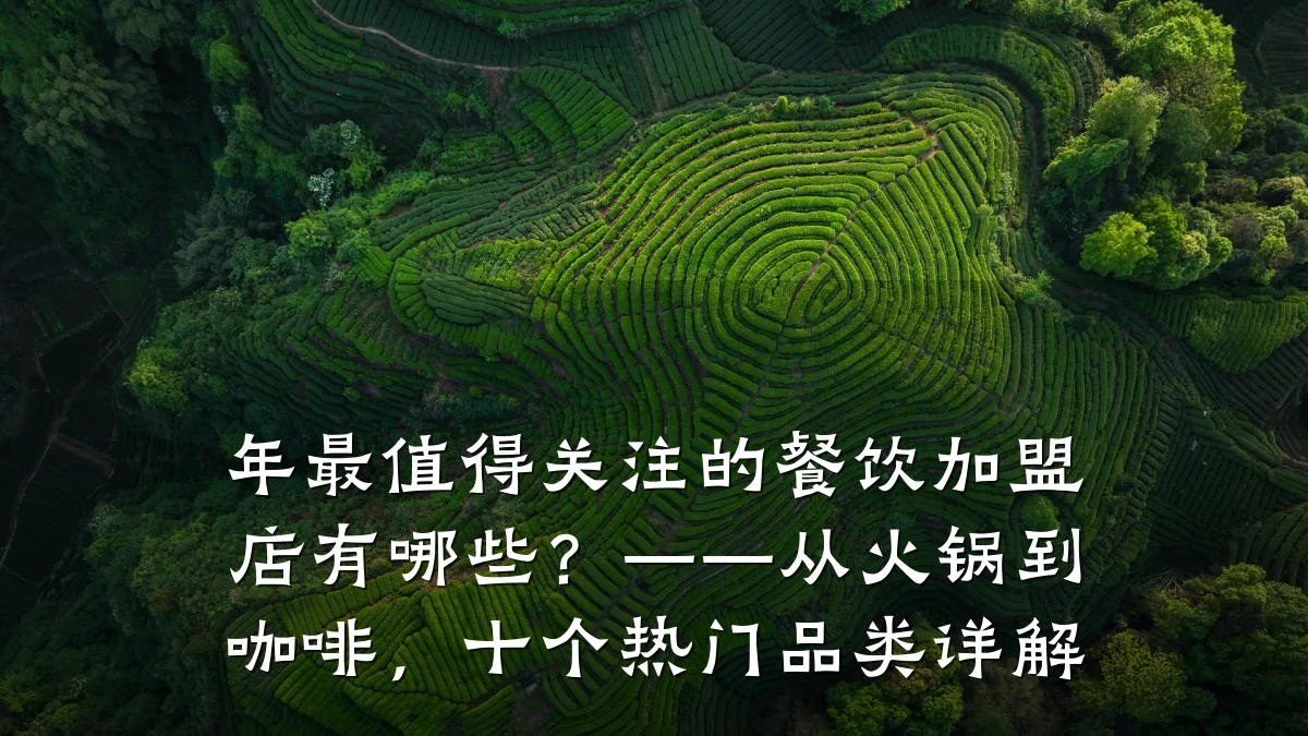 年最值得关注的餐饮加盟店有哪些？——从火锅到咖啡，十个热门品类详解