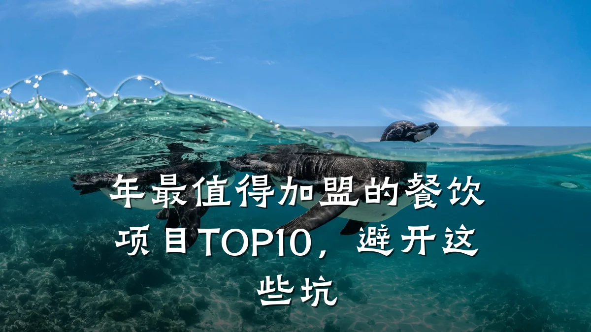 年最值得加盟的餐饮项目TOP10，避开这些坑