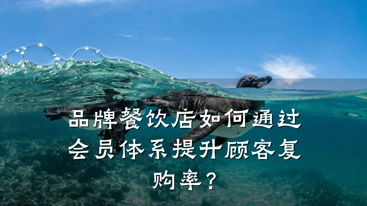 品牌餐饮店如何通过会员体系提升顾客复购率?