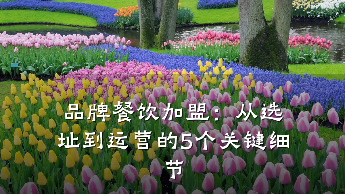 品牌餐饮加盟:从选址到运营的5个关键细节
