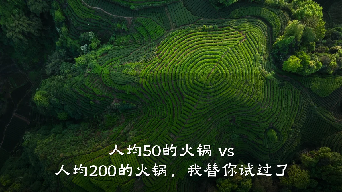 人均50的火锅 vs 人均200的火锅,我替你试过了