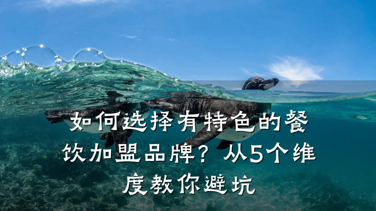 如何选择有特色的餐饮加盟品牌？从5个维度教你避坑