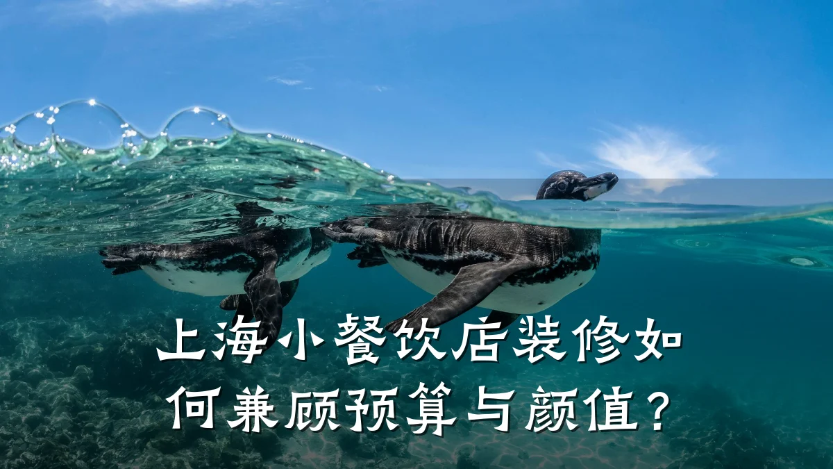 上海小餐饮店装修如何兼顾预算与颜值？