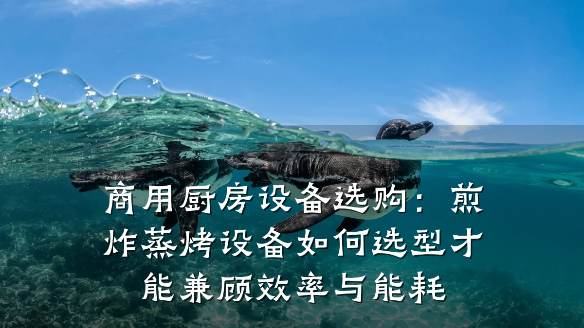 商用厨房设备选购：煎炸蒸烤设备如何选型才能兼顾效率与能耗