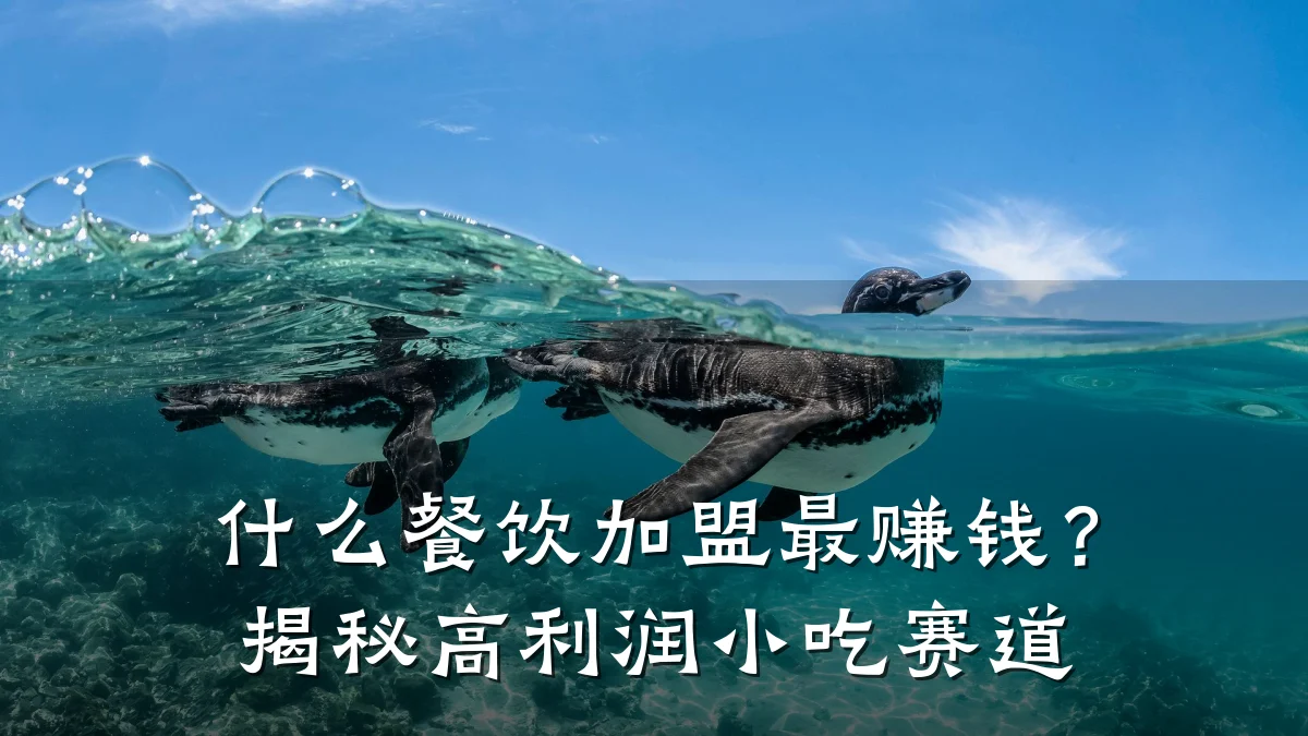 什么餐饮加盟最赚钱？揭秘高利润小吃赛道