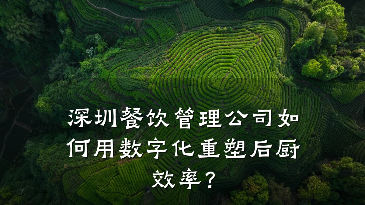 深圳餐饮管理公司如何用数字化重塑后厨效率？