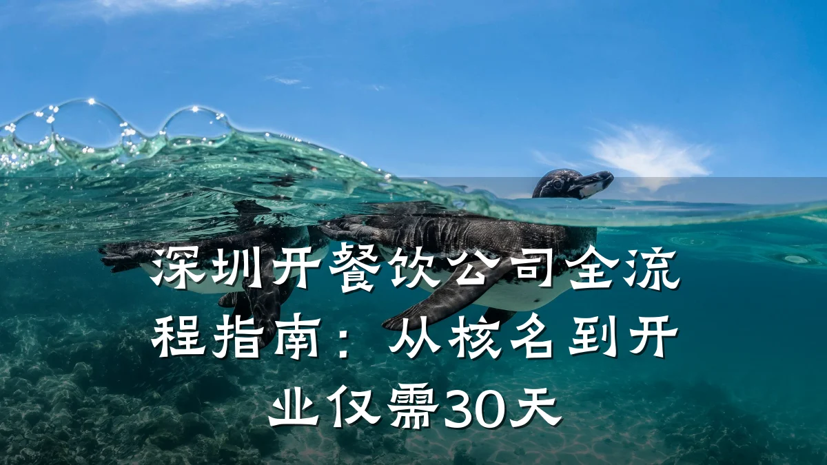 深圳开餐饮公司全流程指南:从核名到开业仅需30天