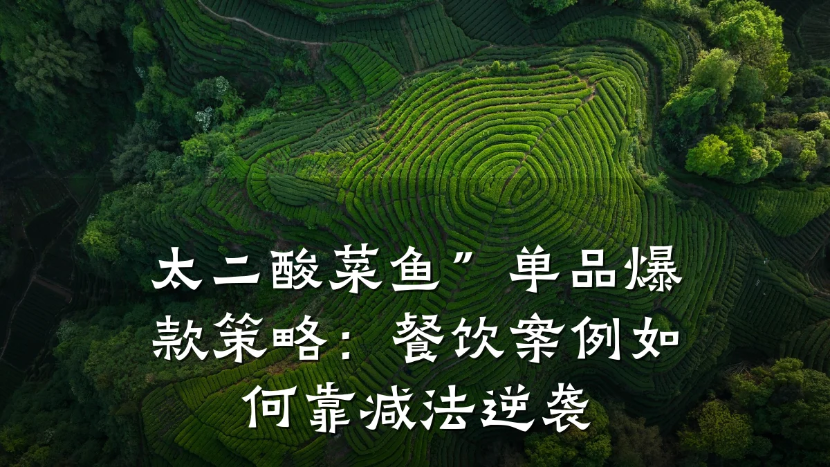 太二酸菜鱼”单品爆款策略：餐饮案例如何靠减法逆袭