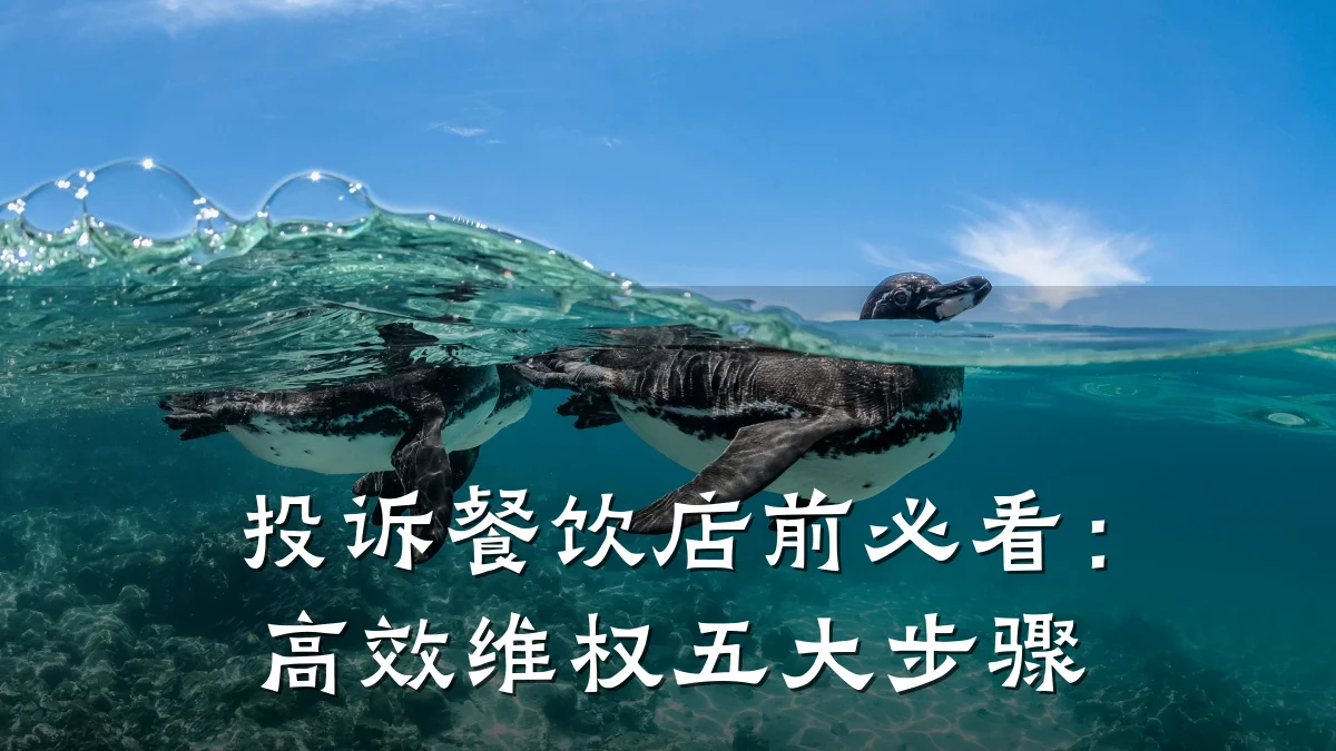 投诉餐饮店前必看：高效维权五大步骤