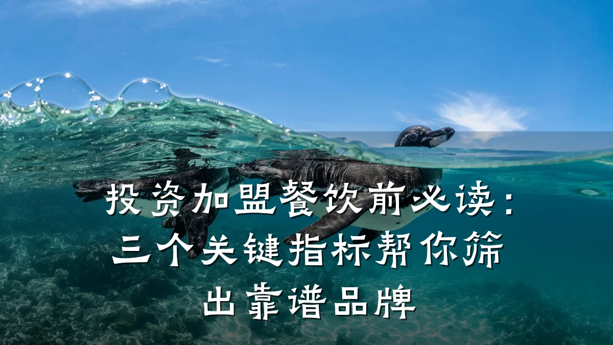 投资加盟餐饮前必读：三个关键指标帮你筛出靠谱品牌