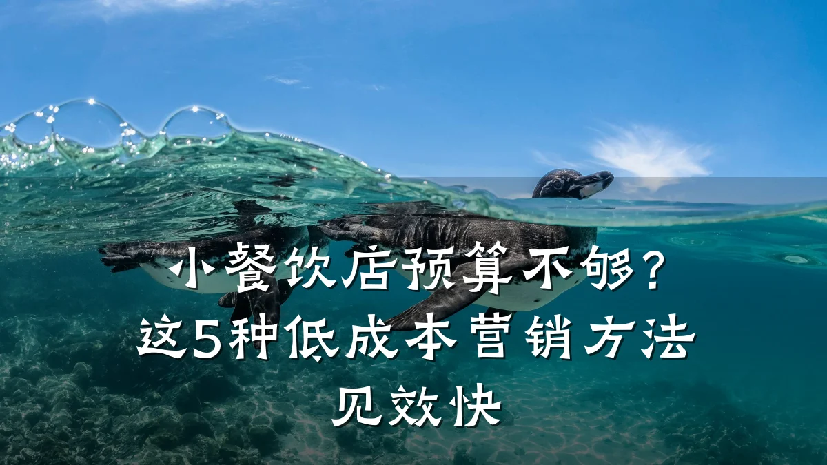 小餐饮店预算不够？这5种低成本营销方法见效快