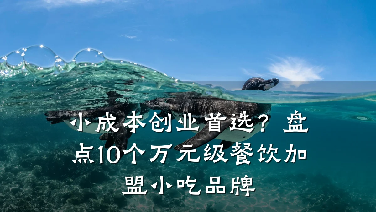 小成本创业首选？盘点10个万元级餐饮加盟小吃品牌