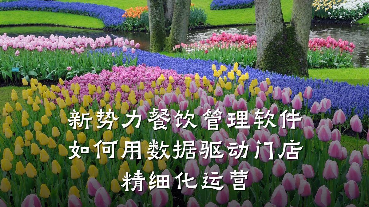 新势力餐饮管理软件如何用数据驱动门店精细化运营
