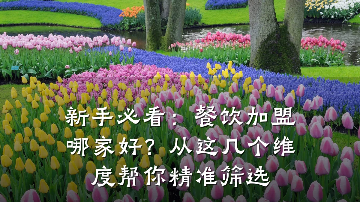 新手必看：餐饮加盟哪家好？从这几个维度帮你精准筛选