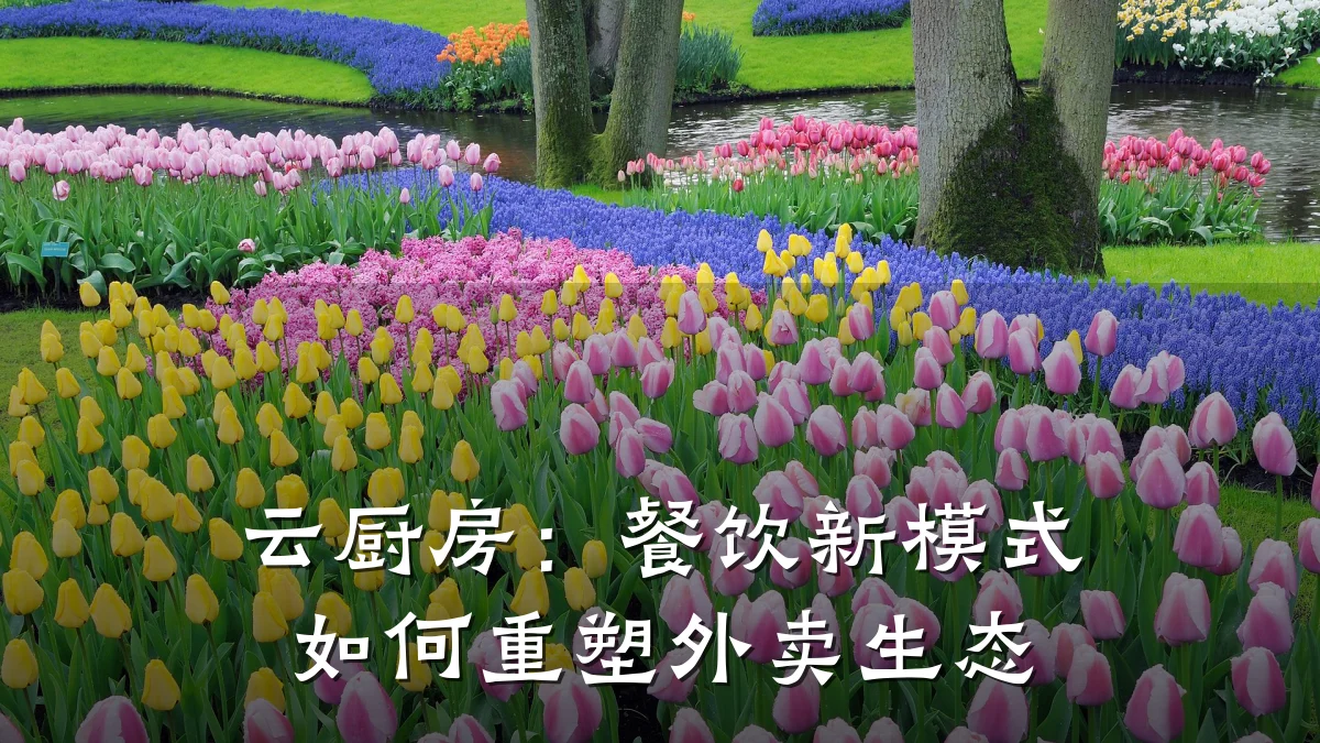 云厨房：餐饮新模式如何重塑外卖生态