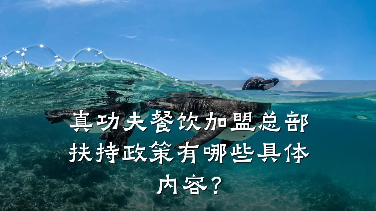真功夫餐饮加盟总部扶持政策有哪些具体内容？