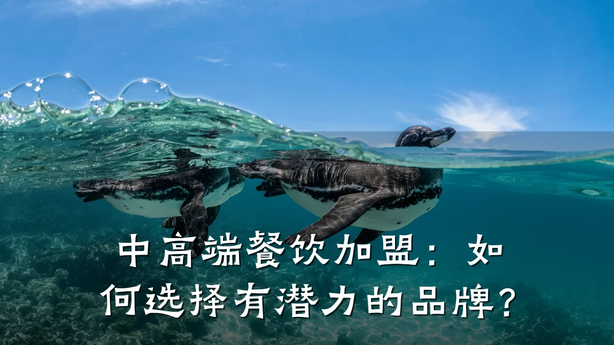 中高端餐饮加盟：如何选择有潜力的品牌？