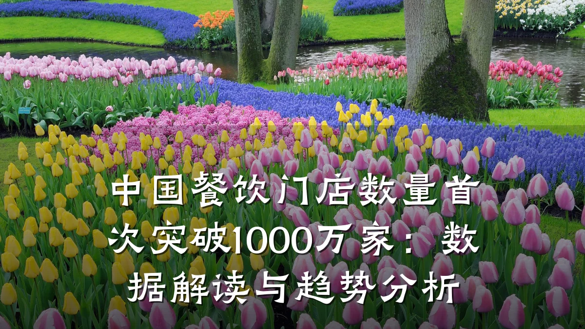 中国餐饮门店数量首次突破1000万家：数据解读与趋势分析