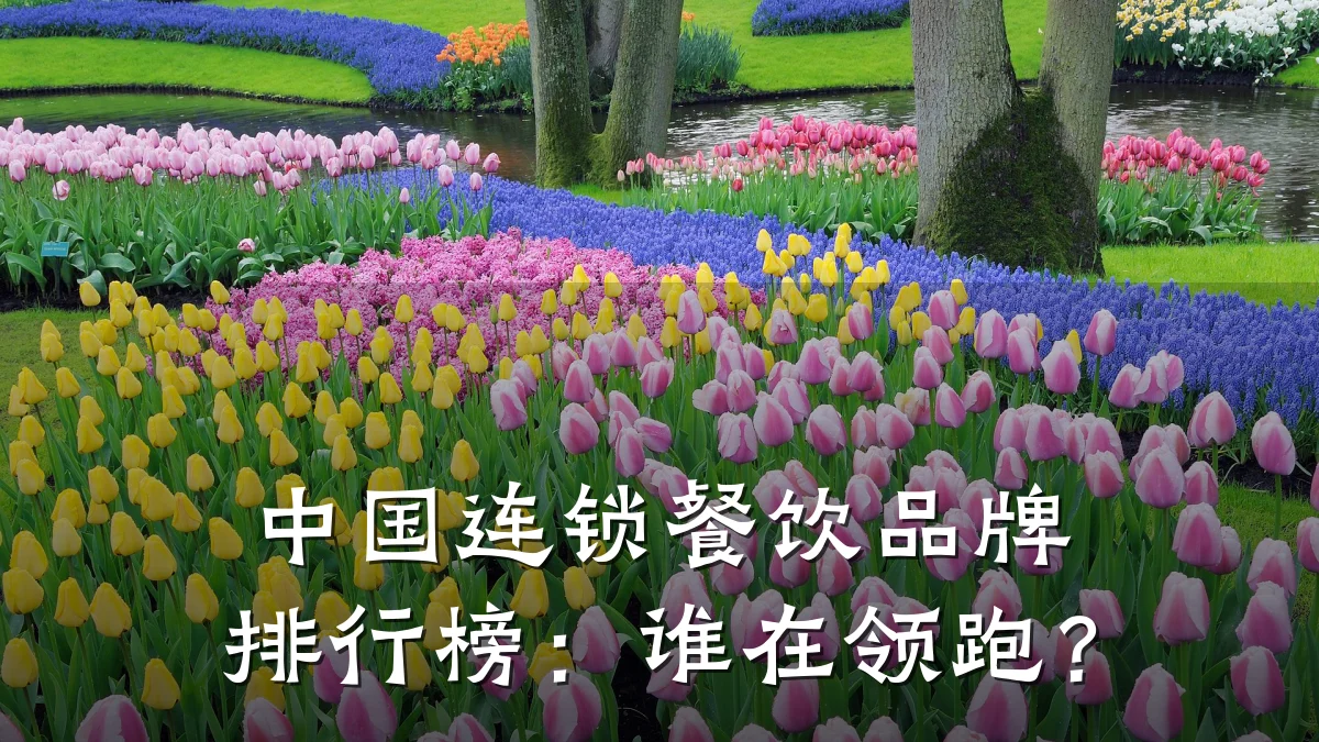 中国连锁餐饮品牌排行榜：谁在领跑？
