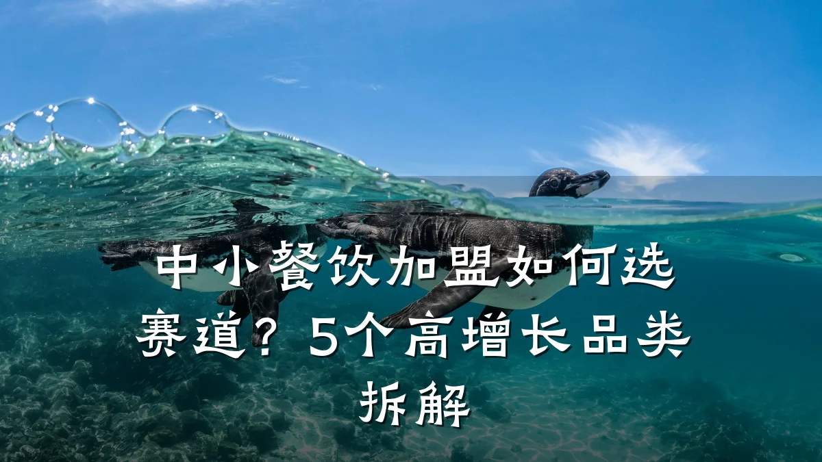 中小餐饮加盟如何选赛道？5个高增长品类拆解