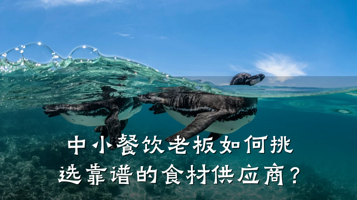 中小餐饮老板如何挑选靠谱的食材供应商？