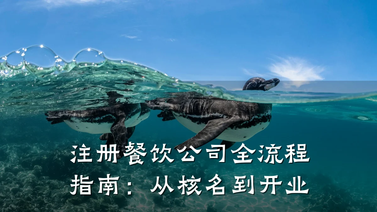 注册餐饮公司全流程指南：从核名到开业