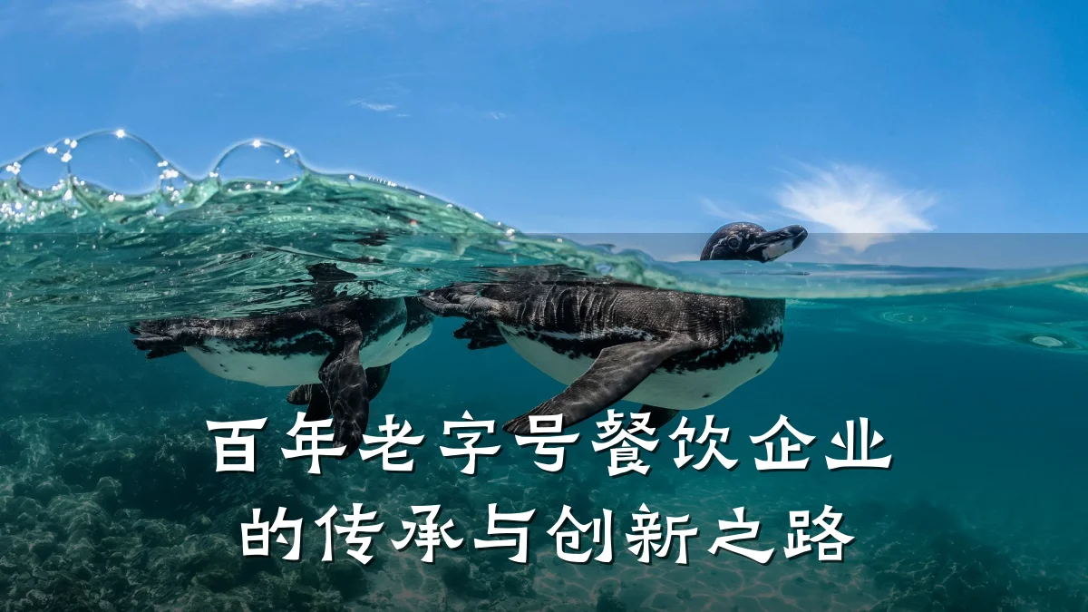 百年老字号餐饮企业的传承与创新之路