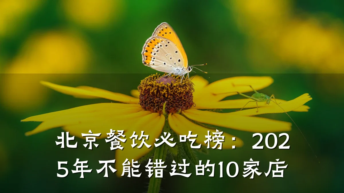 北京餐饮必吃榜：2025年不能错过的10家店