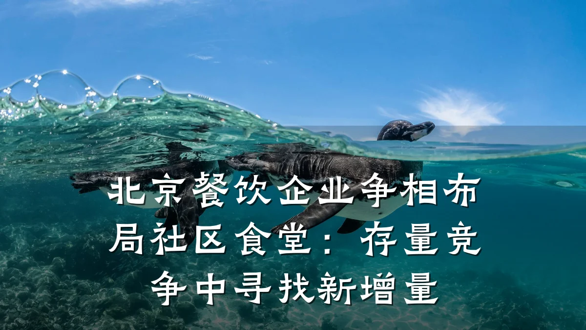 北京餐饮企业争相布局社区食堂：存量竞争中寻找新增量