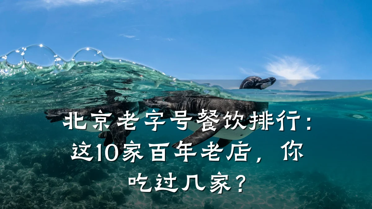 北京老字号餐饮排行：这10家百年老店，你吃过几家？