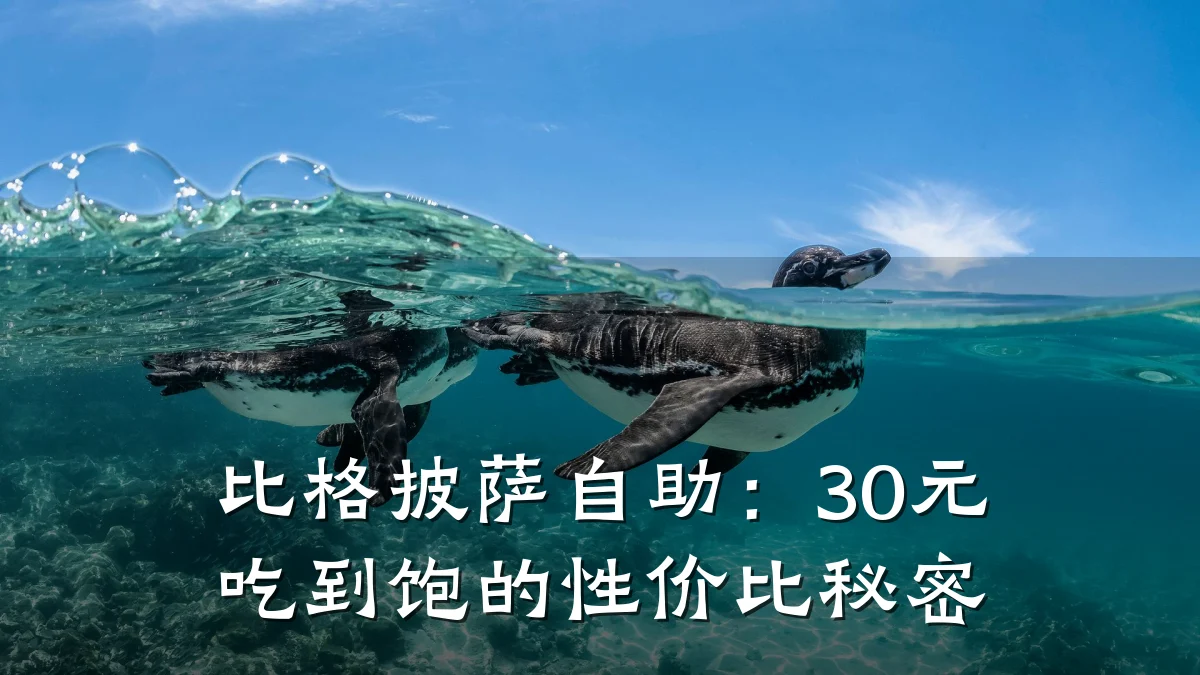比格披萨自助:30元吃到饱的性价比秘密