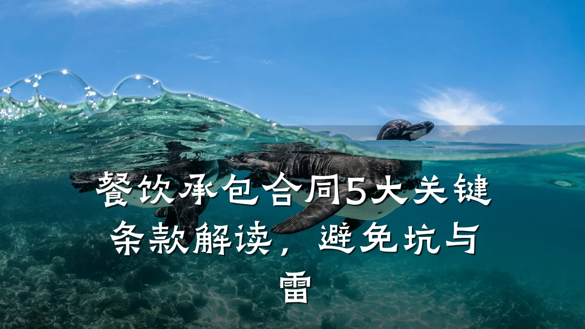 餐饮承包合同5大关键条款解读，避免坑与雷