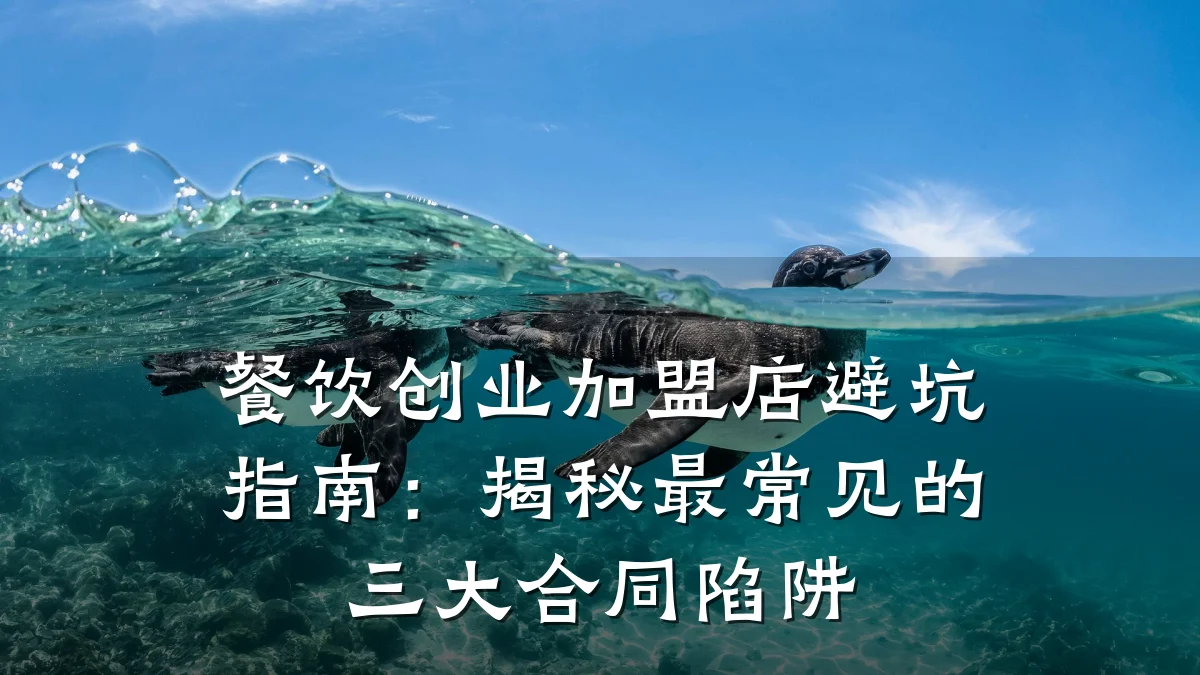 餐饮创业加盟店避坑指南：揭秘最常见的三大合同陷阱