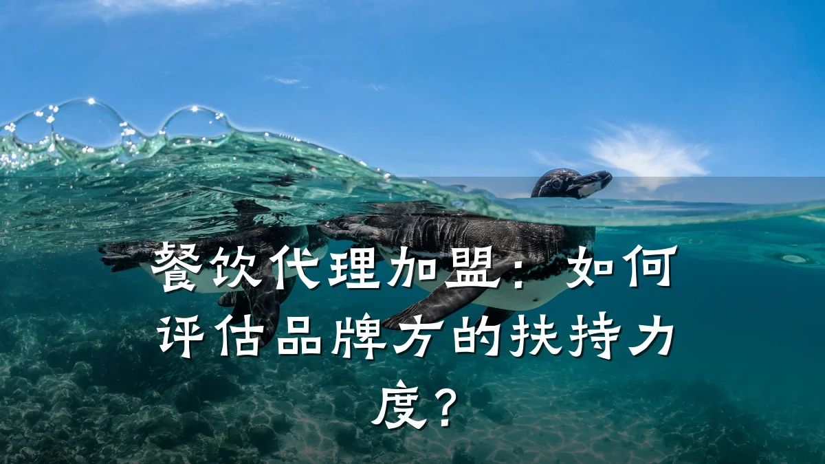 餐饮代理加盟:如何评估品牌方的扶持力度?