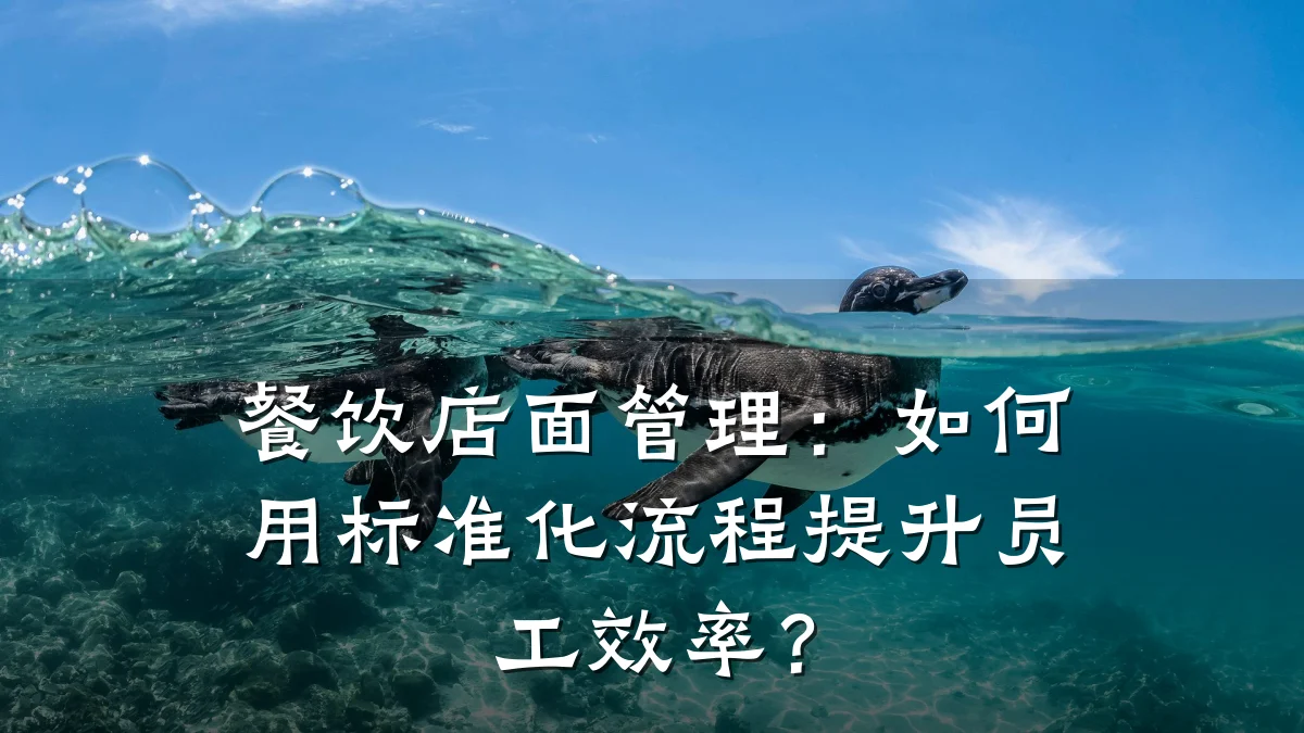 餐饮店面管理：如何用标准化流程提升员工效率？