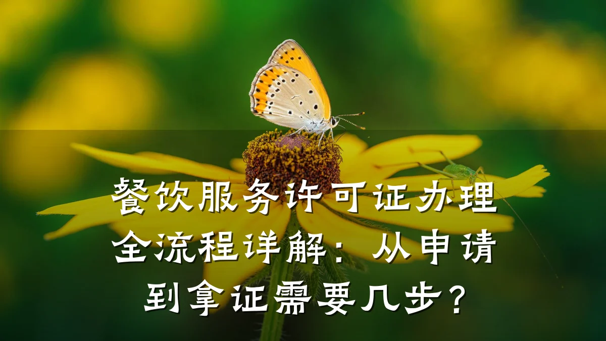 餐饮服务许可证办理全流程详解：从申请到拿证需要几步？