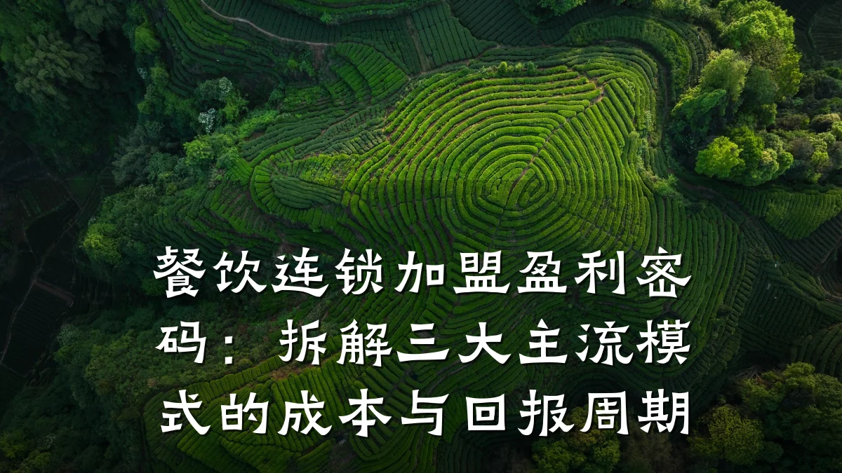 餐饮连锁加盟盈利密码：拆解三大主流模式的成本与回报周期