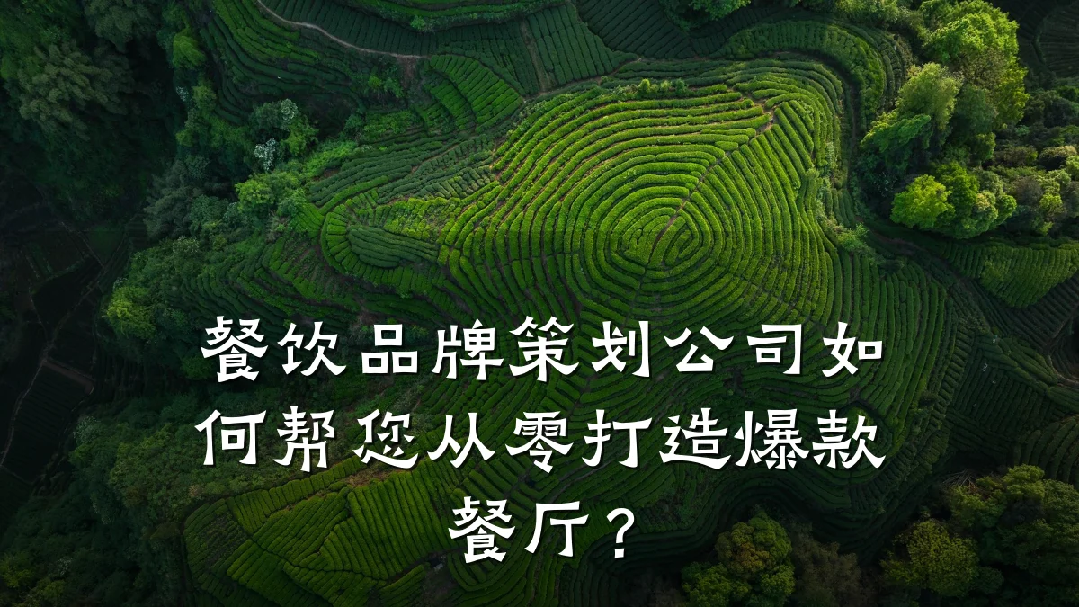 餐饮品牌策划公司如何帮您从零打造爆款餐厅？
