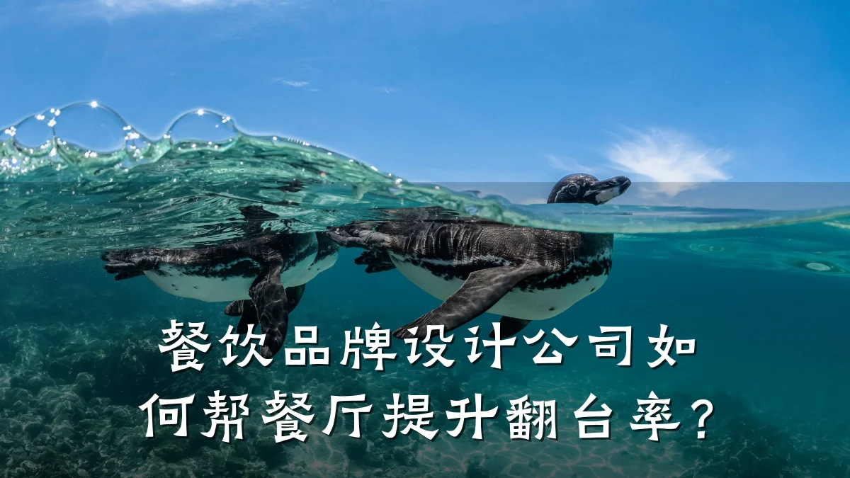 餐饮品牌设计公司如何帮餐厅提升翻台率？