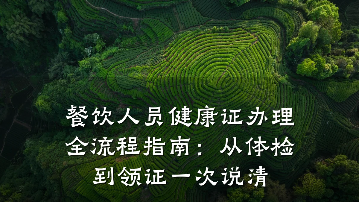 餐饮人员健康证办理全流程指南：从体检到领证一次说清