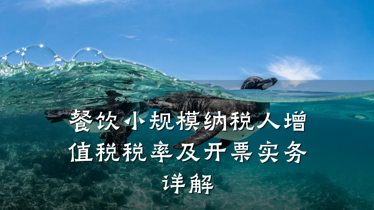 餐饮小规模纳税人增值税税率及开票实务详解