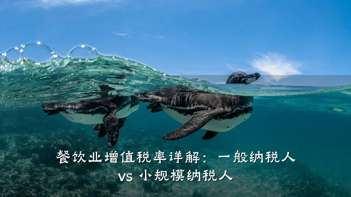 餐饮业增值税率详解：一般纳税人 vs 小规模纳税人