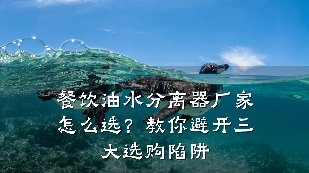 餐饮油水分离器厂家怎么选？教你避开三大选购陷阱