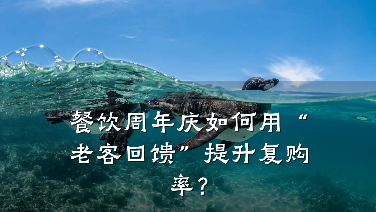 餐饮周年庆如何用“老客回馈”提升复购率？