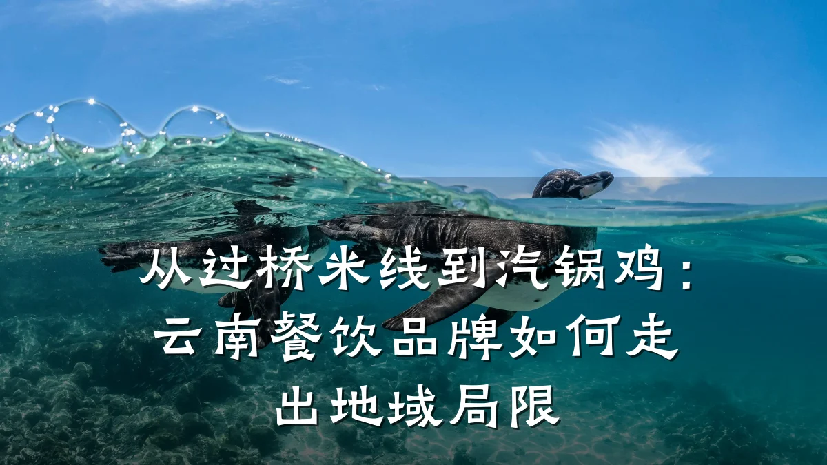 从过桥米线到汽锅鸡：云南餐饮品牌如何走出地域局限