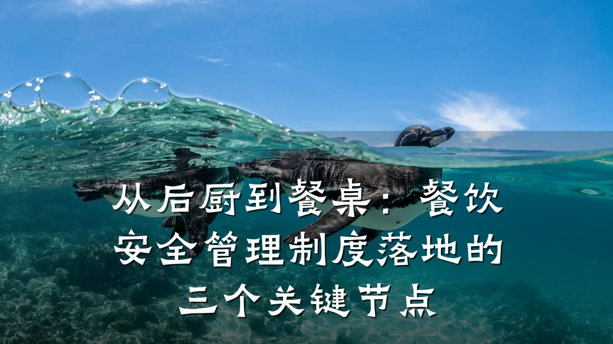 从后厨到餐桌：餐饮安全管理制度落地的三个关键节点