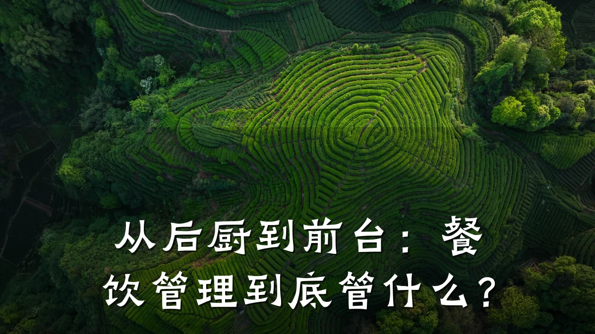 从后厨到前台：餐饮管理到底管什么？