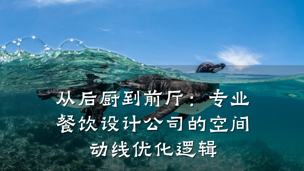 从后厨到前厅：专业餐饮设计公司的空间动线优化逻辑