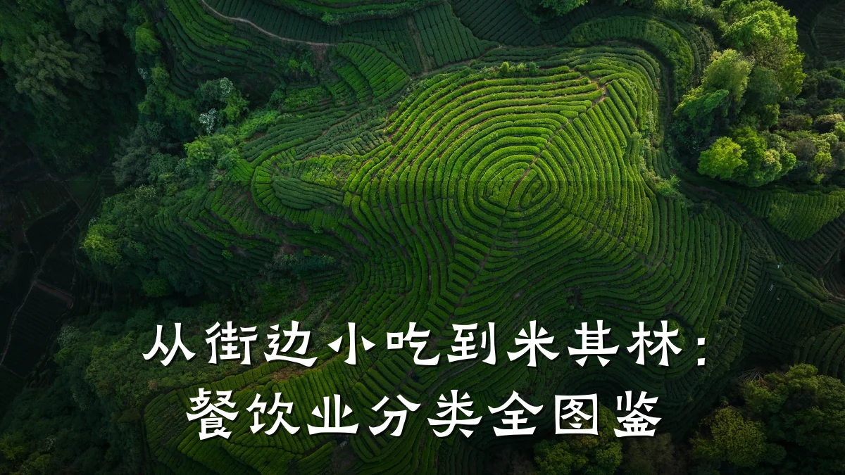 从街边小吃到米其林：餐饮业分类全图鉴